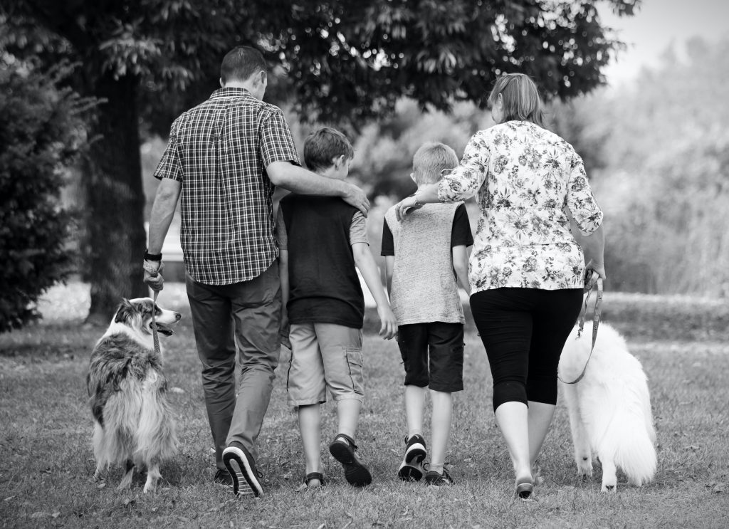 family walking with dogs